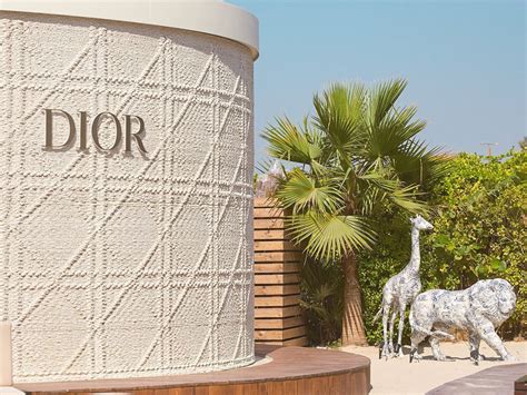 dubai nammos dior|Dior time out Dubai.